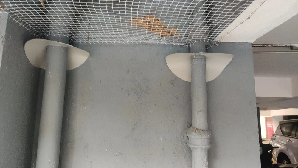 Termite Control